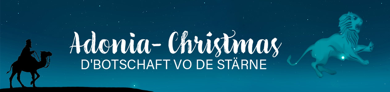 Banner-Web-Christmas.jpg